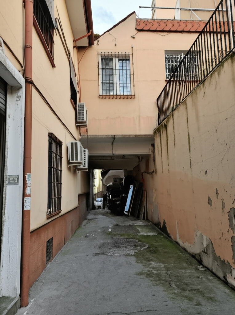 Vaciar pisos en Capellades