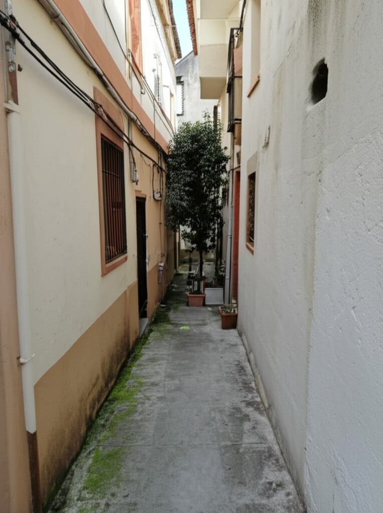 Vaciar pisos en Sallent