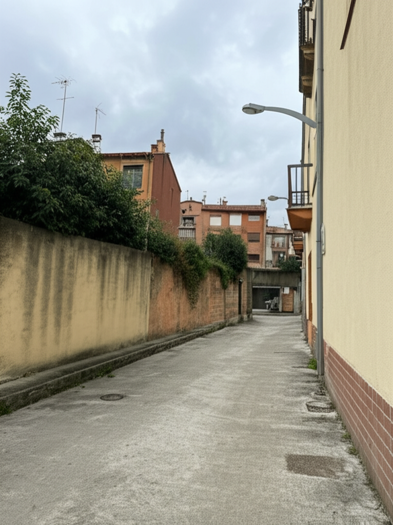 Vaciar pisos en Torelló
